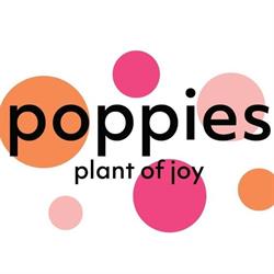 Poppies