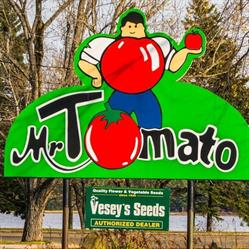 Mr Tomate