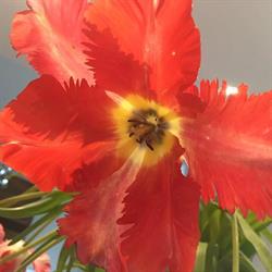 Flower Deco