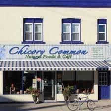 Chicory Common The