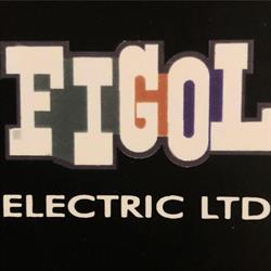 Figol Electric Ltd
