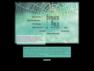 Spider Silk Design