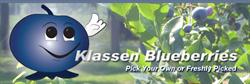 Klassen Blueberries