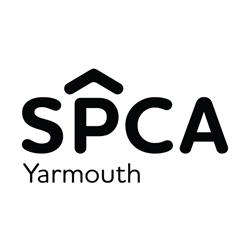 Yarmouth County Spca