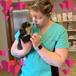 Clearwater Vet Clinic