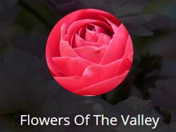 Flowers Of The Valley