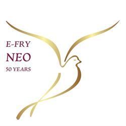 Elizabeth Fry Society