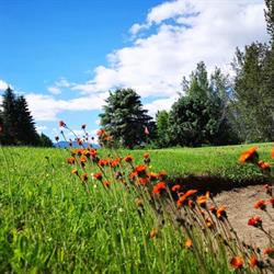 Valley View Golf Club