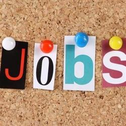 Motivated Staffing Incorporated
