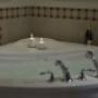 Ultra Bain Whirlpool Bath Ultra Bain Whirlpool Bath