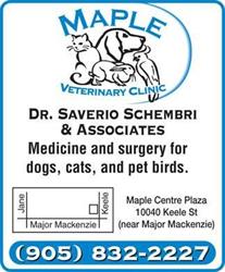 Maple Veterinary Clinic