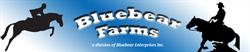 Bluebear Enterprises Incorporated