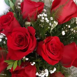 Northern Country Flowers