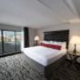 King Suite King Suite