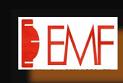 E m f Electrical Services