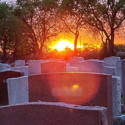 Mount Sinai Memorial Park