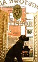 Riverside Animal Hospital