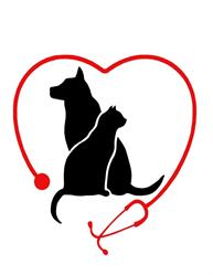 Beamsville Animal Hospital