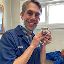 Foothills Veterinary Clinic