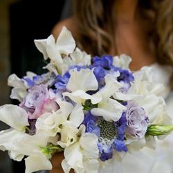 Primavera Flowers & More Ltd
