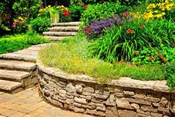 Oakville Lawn Care & Landscaping