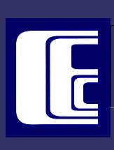 Canadian Executive Consultants Incorporated