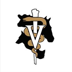 Dawson Creek Veterinary Clinic Ltd
