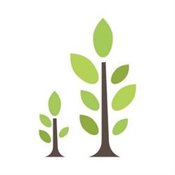 North Shore Forest Products Marketing Board