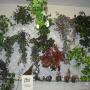 Great selection of artificial bushes Great selection of artificial bushes