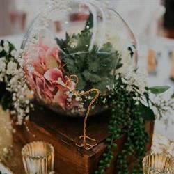 Weddings & Beyond
