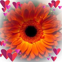 Flowers By Christina