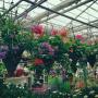 Uploaded by visitor on 4/4/2016 - The largest covered in garden center in the area! Uploaded by visitor on 4/4/2016 - The largest covered in garden center in the area!