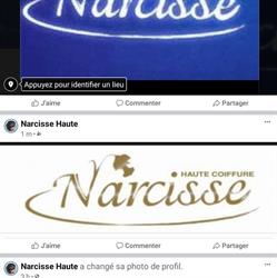 Haute Coiffure Narcisse