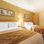 Guest room with two beds Guest room with two beds