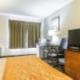 Guest room with sofa sleeper Guest room with sofa sleeper