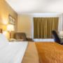 Guest room with king bed(s) Guest room with king bed(s)
