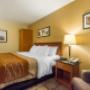 Guest room with king bed(s) Guest room with king bed(s)
