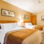 Guest room with two beds Guest room with two beds