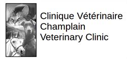 Champlain Veterinary Clinic