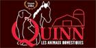 Quinn Les Animaux Domestiques