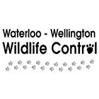 Waterloo-Wellington Wildlife Control
