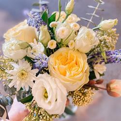 Special Moments Flowers & Gifts Ltd