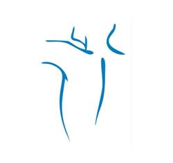 Back Works Spinal & Sports Rehabilitation