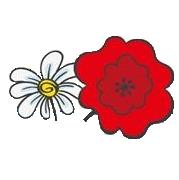 CPE Les Coquelicots
