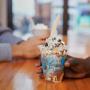 Two ice cream sundaes being enjoyed by two people at table at a Ben & Jerry's ice cream shop. Two ice cream sundaes being enjoyed by two people at table at a Ben & Jerry's ice cream shop.