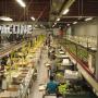 Fruit Packaging Conveyor Fruit Packaging Conveyor