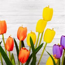 Michelle Forward Halifax Massage Therapy