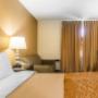 Artistically appointed guest room Artistically appointed guest room