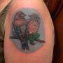 bird tatoo by Kyle at sin on skin bird tatoo by Kyle at sin on skin