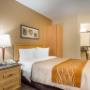 Guest room with queen bed Guest room with queen bed
